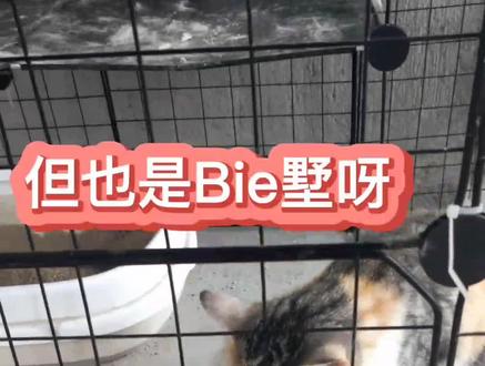 网易邮箱注销后多久可以再注册 0345ebe44ac89f2564232850d5c7b3cf~tplv-dy-resize-origshort-autoq-75:330.jpeg?biz_tag=pcweb_cover&from=3213915784&s=PackSourceEnum_AWEME_DETAIL&sc=cover&se=false&x-expires=2006121600&x-signature=ERBdKKfUiFTJJgTJ7XGy98FwnYU%3D