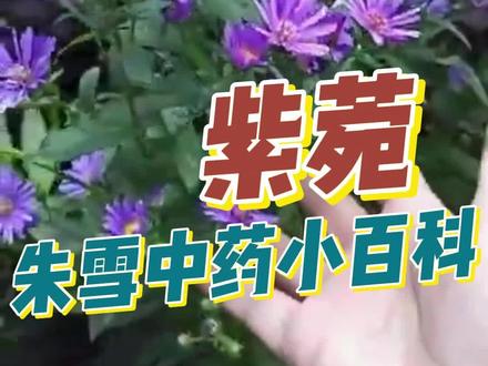 科学探索纪录片全集中文 3c4b116cb4f6c8da177234cc9394e347~tplv-dy-resize-origshort-autoq-75:330.jpeg?biz_tag=pcweb_cover&from=3213915784&s=PackSourceEnum_AWEME_DETAIL&sc=cover&se=false&x-expires=2012641200&x-signature=csocQ5g0k%2FsSidaniCtWx%2FXRJuc%3D