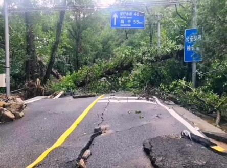 徒步旅行视频怎么拍的 49a95cc307b331829139a59604d2ea36~tplv-dy-resize-origshort-autoq-75:330.jpeg?biz_tag=pcweb_cover&from=3213915784&s=PackSourceEnum_AWEME_DETAIL&sc=cover&se=false&x-expires=2006719200&x-signature=jAcI%2BhUm9bRJi4o0d7cKSVTMMtE%3D