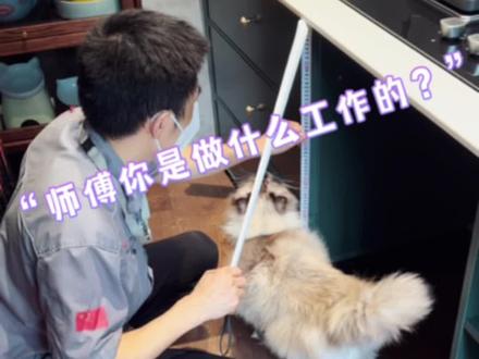 网易严选全家猫粮 5da588356b6c6660d3fc831de6ab6100~tplv-dy-resize-origshort-autoq-75:330.jpeg?biz_tag=pcweb_cover&from=3213915784&s=PackSourceEnum_AWEME_DETAIL&sc=cover&se=false&x-expires=2006175600&x-signature=HliG6uYrN6dH7mV5zG59FeXlQ%2BE%3D