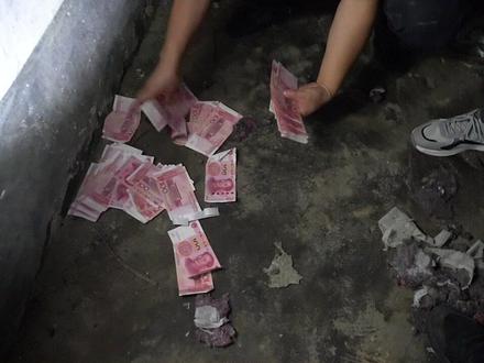 好养的平替绿植 7dad84d106d6db5b11694b3c3407145f~tplv-dy-resize-origshort-autoq-75:330.jpeg?biz_tag=pcweb_cover&from=3213915784&s=PackSourceEnum_AWEME_DETAIL&sc=cover&se=false&x-expires=2006193600&x-signature=V54gdZAjwsV8ZywuhnXGz5vgo7E%3D