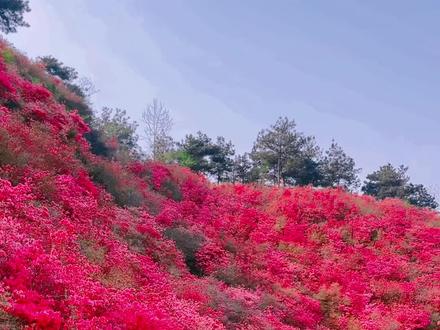 拼车出行旅游合法吗 8b673d18935a249c6c2fb8ef0b857c66~tplv-dy-resize-origshort-autoq-75:330.jpeg?biz_tag=pcweb_cover&from=3213915784&s=PackSourceEnum_AWEME_DETAIL&sc=cover&se=false&x-expires=1995735600&x-signature=TTPOWZ5xVeZDBrd8MdJ%2FQTIBD64%3D