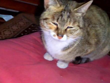 国内最新大事件汇总 a42537a5f099f7c91a7b37556f3214ef~tplv-dy-resize-origshort-autoq-75:330.jpeg?biz_tag=pcweb_cover&from=3213915784&s=PackSourceEnum_AWEME_DETAIL&sc=cover&se=false&x-expires=2006082000&x-signature=HrLYnitgrTGC0UVSwxoR6rX760c%3D