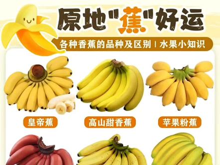 玩具小视频小孩 e4ff3283654f60e3d3c900695b3c329b~tplv-dy-resize-origshort-autoq-75:330.jpeg?biz_tag=pcweb_cover&from=3213915784&s=PackSourceEnum_AWEME_DETAIL&sc=cover&se=false&x-expires=2012072400&x-signature=9QuPF9ir5%2FCdxYB6hw%2Fni%2Fezn7I%3D