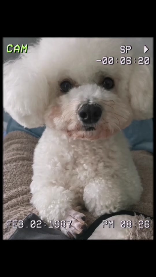 04075221f7a74649842ada031e75f740_1701266703?from=876277922&x-expires=2017468800&x-signature=kQrgtv8obnuXnQtDRrI75RJHOUM%3D