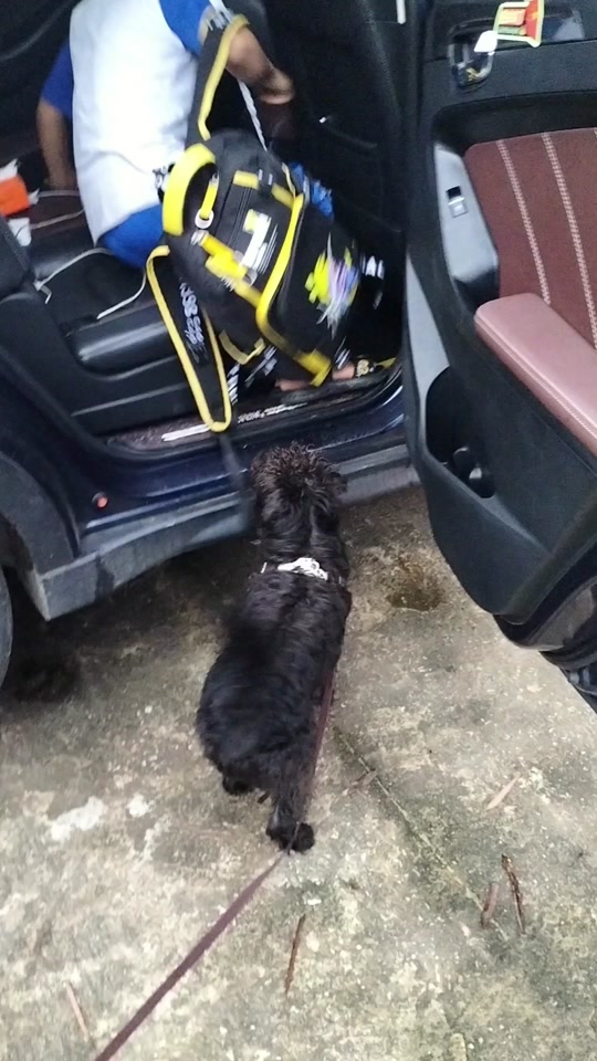 0449b8b4371643b2918ebed13ef7f198_1699396499?from=876277922&x-expires=2015719200&x-signature=oDbDxn0JvmLpb41MbMolIiPs4ZA%3D