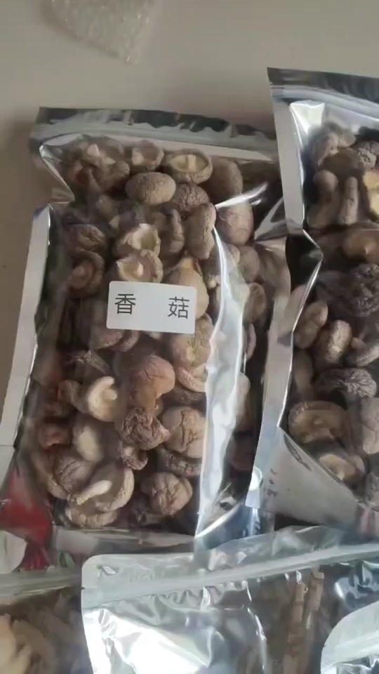 0e4821f9a88a43999d9454b443e3b2c5_1700136542?from=876277922&x-expires=2017508400&x-signature=R7%2FkSl%2F0ZozNLRFmVshXnf6GzNI%3D