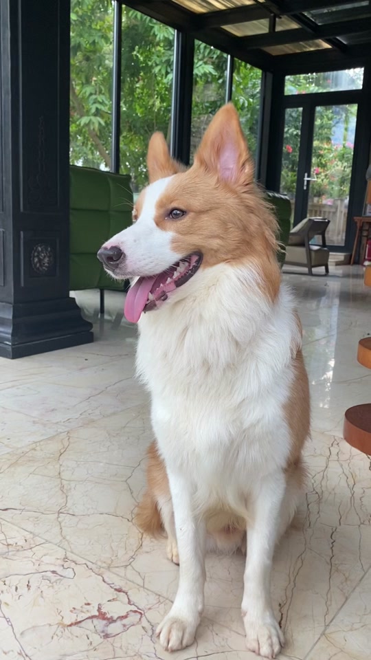 110387d2830541aba9df6c275c6a1bdf_1701248799?from=876277922&x-expires=2016896400&x-signature=O%2BDckFQOxZBl8eEhijLS0tIA0LQ%3D