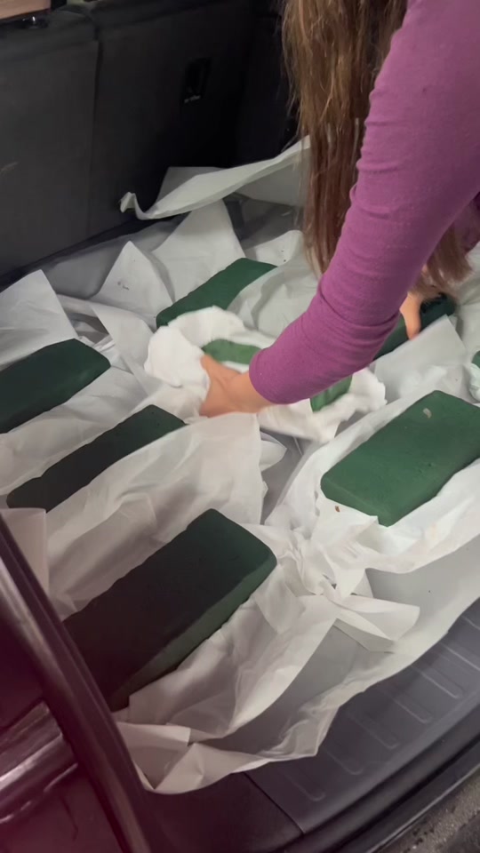 176211ad48964ed7bb31812a0e4d9c0f_1698420874?from=876277922&x-expires=2015816400&x-signature=94oM4%2Fn%2FT1577WDV6VLmLcB%2BNnw%3D