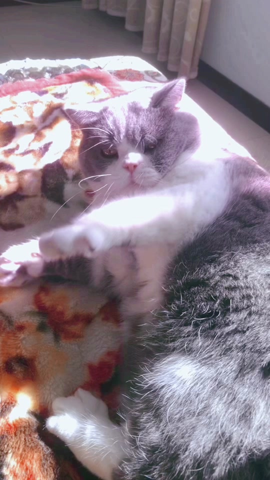 1a8ded16dd374539a07148e6997eface_1701088635?from=876277922&x-expires=2017447200&x-signature=l4rwOxbkWXrlozEo8DqP5c0f99I%3D