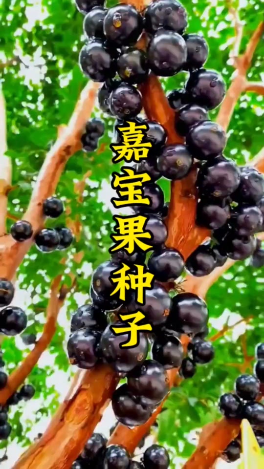 21677af89b134efa82b2ba6dcb648301_1700136551?from=876277922&x-expires=2017508400&x-signature=UDMEiHC9BwlT7xJmZ2JujzhTMjc%3D