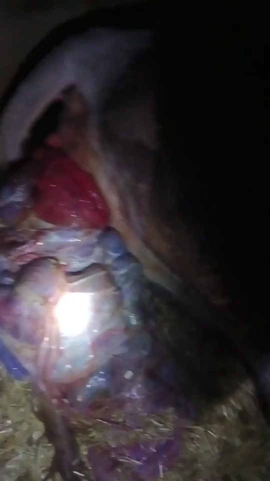 3011a2e8a3cb4ebaaba004d225b02562_1698180345?from=876277922&x-expires=2015359200&x-signature=z6ksgeTdlfAJY1CyAMk5mX8mY6s%3D