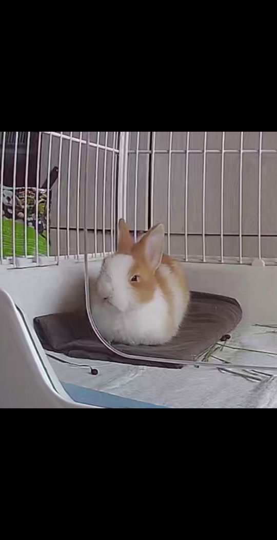 3f7d0636d8a04b3fa827b90ed83ab0bf_1701826367?from=876277922&x-expires=2017504800&x-signature=N3evzd1vhRduJ9knNxjB%2BMVgo5w%3D