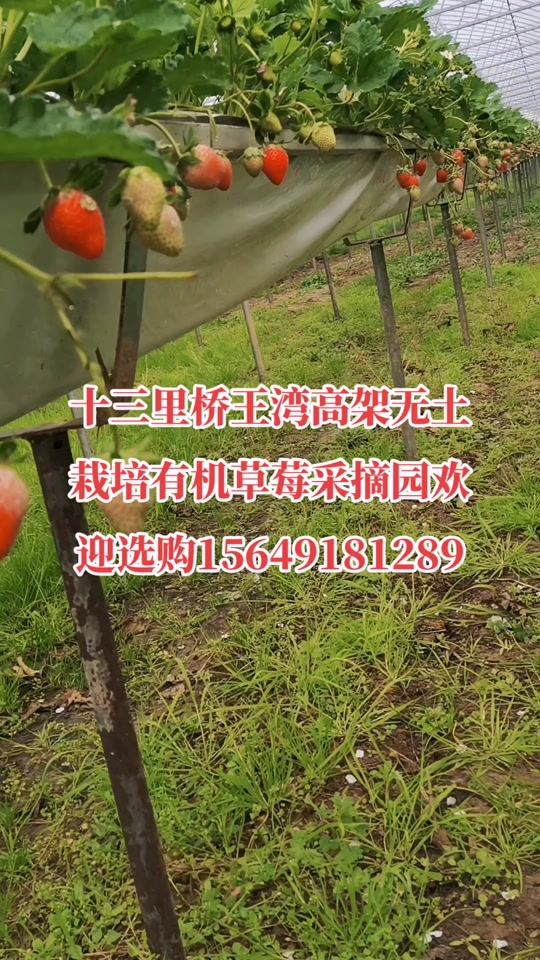 4277b1d6c6034e97a24dc1d3f02bf324_1700960156?from=876277922&x-expires=2017630800&x-signature=mkmhLf%2F%2BOhn363SNAk3B0U30q7w%3D