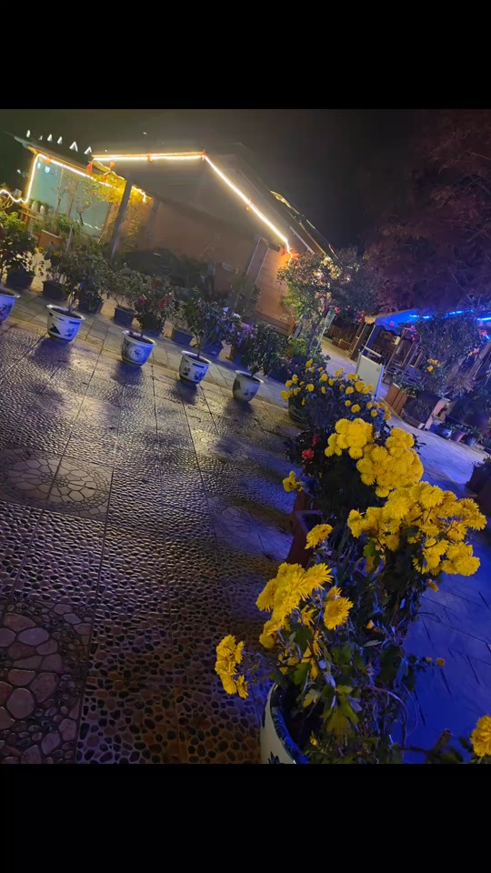 5aacd6b005c545f19143cd6911c409c5_1702041463?from=876277922&x-expires=2017443600&x-signature=xCVpmrYmLXsN6JIFFj8Fai8Uf5I%3D