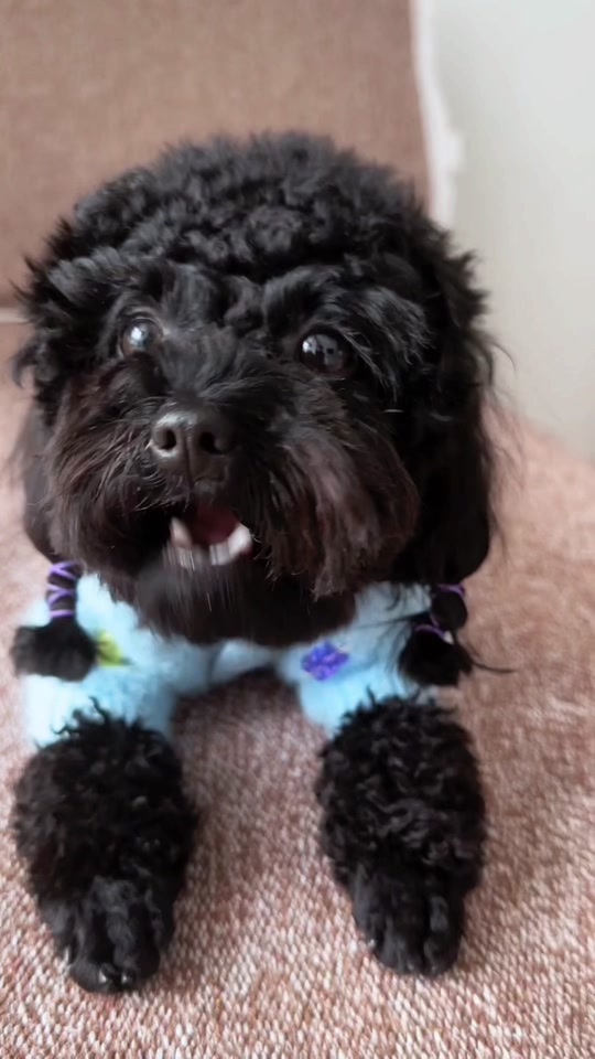 5d0bc593c30845d69b78ea1283bb4b26_1701038698?from=876277922&x-expires=2017508400&x-signature=WAVqLOpSb1cVAp8rGskCVVG%2FCo4%3D