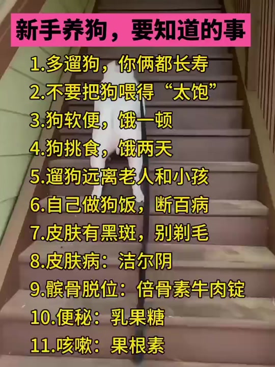 6fe8b8113e0941b3a3fc150fc5e9bf04_1701527089?from=876277922&x-expires=2017515600&x-signature=UFri%2Bc8oLO29pRLYWJ7wrHbVfOU%3D