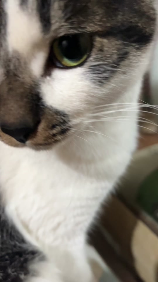 9ec0ecc504854d2787bbc12524381195_1702012449?from=876277922&x-expires=2017461600&x-signature=wsJbRkR%2FY9IXZfIH7tQ8RBy3x6M%3D