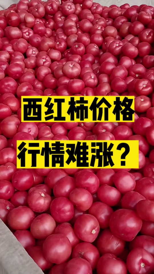 a284af38bbfb43e592a4ab8d27c27a99_1699326991?from=876277922&x-expires=2015971200&x-signature=YTmbzsPwSpq3yUjZ3A5s3cHsxT4%3D