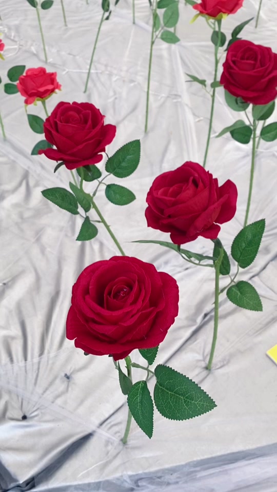 c2da6a72590043a39cd8e03f18322065_1660149885?from=876277922&x-expires=2019556800&x-signature=i%2Ba7hxjoqmimCdN1RejePfiQwnA%3D