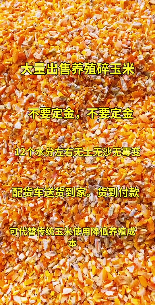 cd996d3ff51b44a4bc9a6a0febc4654a_1701200527?from=876277922&x-expires=2017558800&x-signature=MVOjRwZ8ALvxY7AqIolpQgcoV3w%3D