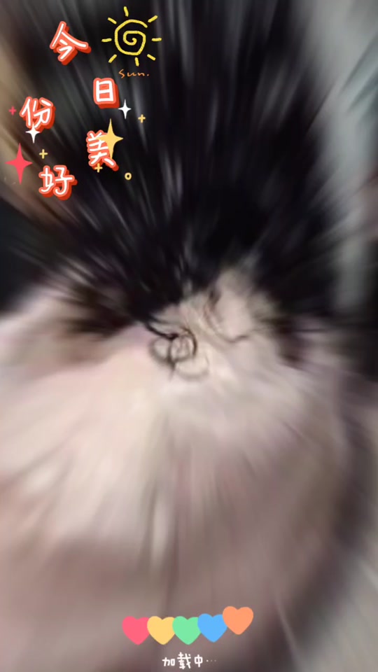 f0f19e3f8c39407f9015d7aaf92e5638_1698155575?from=876277922&x-expires=2015625600&x-signature=J4wjvvJ3B%2F8QrgPGq5vX%2FFomWIE%3D