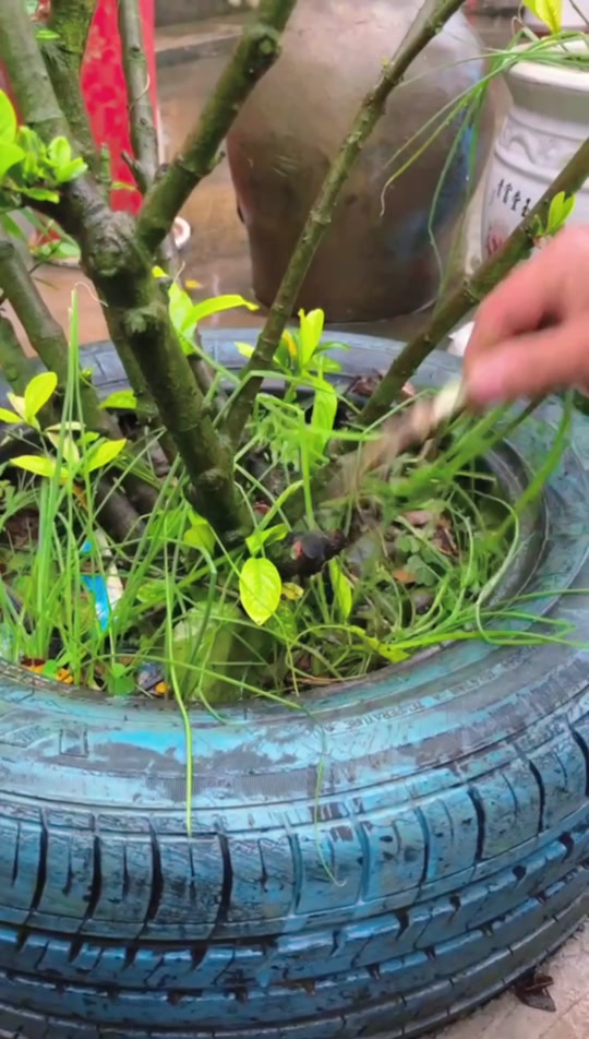 f4d51506f089473fbf8bac005d30dd14_1699152555?from=876277922&x-expires=2015460000&x-signature=peJkxLn5dKRjdLFHVSmLfX6I0uk%3D