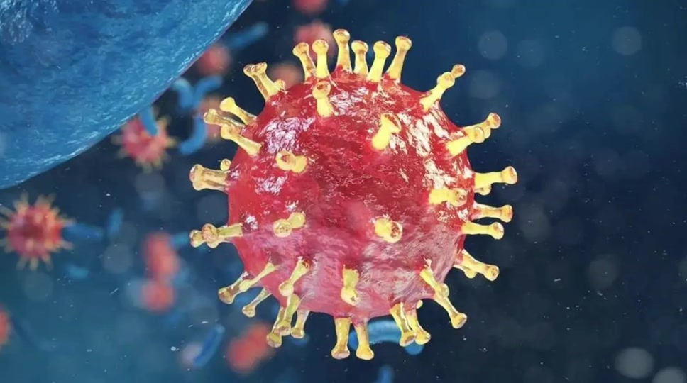 o8CMhx0f9lE0aCA2BnDf9tFw83PXgApQIMCpAA?from=876277922&x-expires=2022973200&x-signature=CdKdDlm9Gsz0d0VRblp49i34BLQ%3D