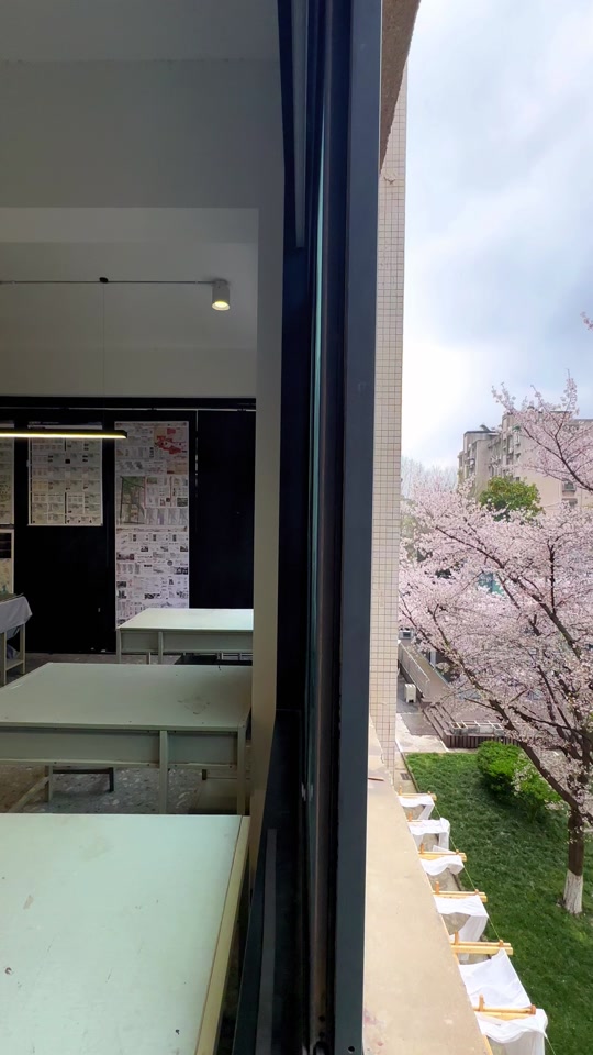 东南大学：最美瞬间不过是在教室里发现同学留下的哲学书籍 #最美樱花教室 #春日樱花大赏 #春天必打卡的樱花胜地 #校园美景