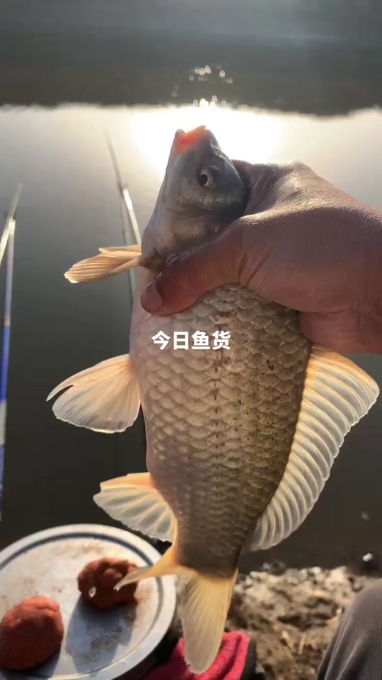 oM0ZIEcKnAys8eKSA9eCag7fWCbQKLBQDWAQBv?from=876277922&x-expires=2017310400&x-signature=VIXnGQqjp2CVunwsPMR7wAWyToU%3D