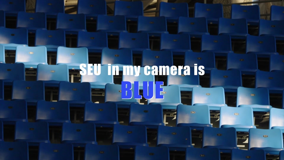 东南大学：SEU is colourful #布达佩斯大饭店 #大学校园 #色彩收集者