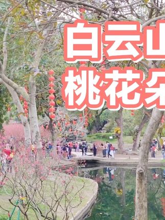 手机wifi打不开怎么办小米 f86166763f01414aa0f8ad3205b3121b~tplv-dy-cropcenter:323:430.jpeg?biz_tag=pcweb_cover&from=3213915784&s=PackSourceEnum_PUBLISH&sc=cover&se=true&sh=323_430&x-expires=1994821200&x-signature=J9raM%2BrPkKv7CP72oG6W4b%2FfVNw%3D