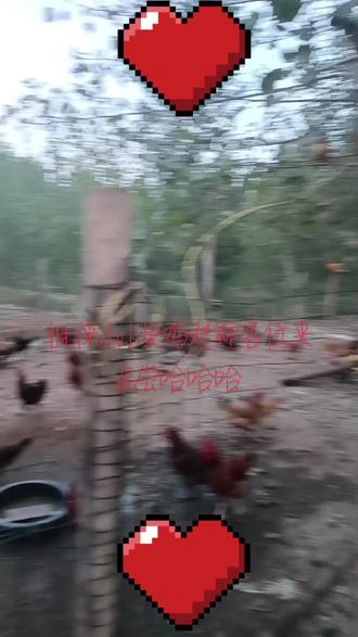 iphone 14 pro max 1tb 暗紫色 3d6874c99fef44628ff4839325263e61_1697001056~tplv-dy-resize-origshort-autoq-75:330.jpeg?biz_tag=pcweb_cover&from=3213915784&s=PackSourceEnum_AWEME_DETAIL&sc=cover&se=false&x-expires=2012432400&x-signature=SUfDn19VLgPvEcg3K4YHfNo9sls%3D