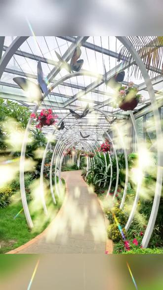 无一例外没有偏爱和例外 76957bbe56514030b0f82928318ce75b_1696801827~tplv-dy-resize-origshort-autoq-75:330.jpeg?biz_tag=pcweb_cover&from=3213915784&s=PackSourceEnum_AWEME_DETAIL&sc=cover&se=false&x-expires=2012158800&x-signature=sHGlwDO0SaB53COB0vtTALTdvjE%3D