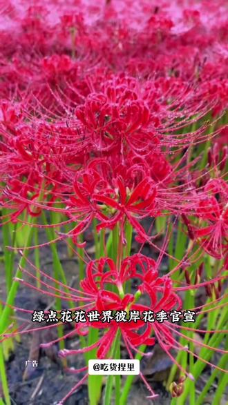 海洋动物视频大全海底世界 7c8b57f53dbf4d5a87f900f4fc9b53fc_1693903894~tplv-dy-resize-origshort-autoq-75:330.jpeg?biz_tag=pcweb_cover&from=3213915784&s=PackSourceEnum_AWEME_DETAIL&sc=cover&se=false&x-expires=2010448800&x-signature=GlP6LnEQdLGOJxT%2FO7qp%2B0sQsf0%3D