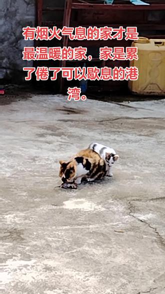 香港工资最高六种行业 9cb34e5987b5422294f60c88f71a0f19_1695361566~tplv-dy-resize-origshort-autoq-75:330.jpeg?biz_tag=pcweb_cover&from=3213915784&s=PackSourceEnum_AWEME_DETAIL&sc=cover&se=false&x-expires=2010783600&x-signature=CB%2Bc76T7J3yZBSAffH5iEf09gTw%3D