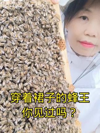 蜂巢蜜怎么弄成蜂蜜 a60d0902a15a49e3a6d28811bfa9574b~tplv-dy-cropcenter:323:430.jpeg?biz_tag=pcweb_cover&from=3213915784&s=PackSourceEnum_PUBLISH&sc=cover&se=true&sh=323_430&x-expires=1994569200&x-signature=P7t16cegrjuKEsdSZKe7RabaG7w%3D