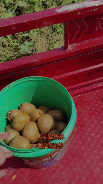 装修墙壁灯安装视频 c0c18e51767946b3878ae1629a4df6a4_1694600009~tplv-dy-resize-origshort-autoq-75:330.jpeg?biz_tag=pcweb_cover&from=3213915784&s=PackSourceEnum_AWEME_DETAIL&sc=cover&se=false&x-expires=2011755600&x-signature=9n0eoQBtLzqQoK3CP7agjpOuhqM%3D