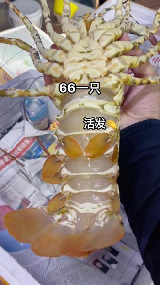 面粉属于淀粉 e6fde297d50946c7bf29feca76776f36_1680599961~tplv-dy-resize-origshort-autoq-75:330.jpeg?biz_tag=pcweb_cover&from=3213915784&s=PackSourceEnum_AWEME_DETAIL&sc=cover&se=false&x-expires=1996056000&x-signature=OkpLvOn1mzn1LqdfKWAaBzhIrI4%3D