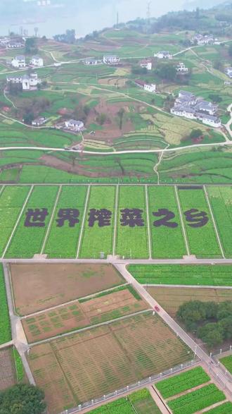 小飞机价格表 ea59c0749f3341a4bbf50bd88b611467_1696294422~tplv-dy-resize-origshort-autoq-75:330.jpeg?biz_tag=pcweb_cover&from=3213915784&s=PackSourceEnum_AWEME_DETAIL&sc=cover&se=false&x-expires=2011708800&x-signature=Ma%2BTSoND22QTFG9pXpAQBRqDonA%3D