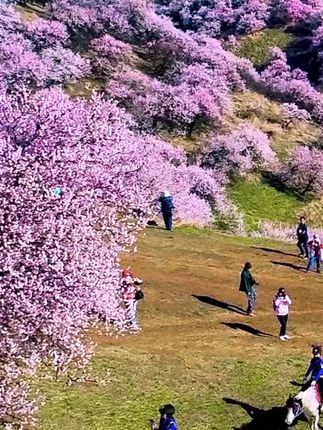 油加热会燃烧吗 o0IkFDzDEABhCQCBNAAgIkjfzWVcr0me47v9Db~tplv-dy-cropcenter:323:430.jpeg?biz_tag=pcweb_cover&from=3213915784&s=PackSourceEnum_PUBLISH&sc=cover&se=true&sh=323_430&x-expires=1994576400&x-signature=Amhi7YfVF3mDfRl3Rllc8jN%2FgcI%3D