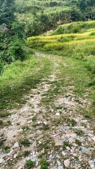 iphone 13双卡双待攻略 o0KJAyzoNABaDtzVA79LDYIgcfeMYhU52DhEAM~tplv-dy-resize-origshort-autoq-75:330.jpeg?biz_tag=pcweb_cover&from=3213915784&s=PackSourceEnum_AWEME_DETAIL&sc=cover&se=false&x-expires=2012576400&x-signature=%2F5lJse06SMfElH9fn7PFWKaoGw4%3D