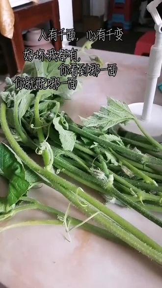 怎么判断油是不是180度 o0teEArp6AGq079KKEBhIQl1gAfZAyAWh3zCuh~tplv-dy-resize-origshort-autoq-75:330.jpeg?biz_tag=pcweb_cover&from=3213915784&s=PackSourceEnum_AWEME_DETAIL&sc=cover&se=false&x-expires=2010600000&x-signature=x%2FAuJcCgCTx2eqOEsORpxRQ6Vlg%3D