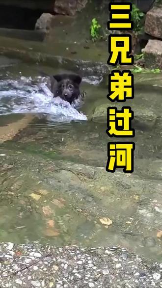 炒肉丝怎么炒才不柴 o0z8JBQOeDnhAXAsIe2BC9xbaGe37mEDZs14bm~tplv-dy-resize-origshort-autoq-75:330.jpeg?biz_tag=pcweb_cover&from=3213915784&s=PackSourceEnum_AWEME_DETAIL&sc=cover&se=false&x-expires=2008962000&x-signature=Fr7xSOMuAQ7jgVjkDmldWTGzyz0%3D