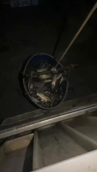 怎么去外国当厨师 o4E88nnIc6eIAwLbAgJx0DleEw9AGAOSDQxBAn~tplv-dy-resize-origshort-autoq-75:330.jpeg?biz_tag=pcweb_cover&from=3213915784&s=PackSourceEnum_AWEME_DETAIL&sc=cover&se=false&x-expires=2011471200&x-signature=8xo%2FMuQsjf64EVbGBHPPHty18mE%3D