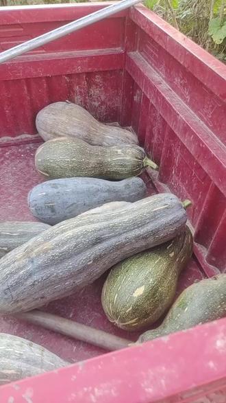 免费电影推荐2020 o4MFDAbDsgIOlGQCYQBp96AeZbIm8eAunKJwFG~tplv-dy-resize-origshort-autoq-75:330.jpeg?biz_tag=pcweb_cover&from=3213915784&s=PackSourceEnum_AWEME_DETAIL&sc=cover&se=false&x-expires=2012158800&x-signature=d5qPGtC%2BE4uvznvdTKIpprGo8p0%3D