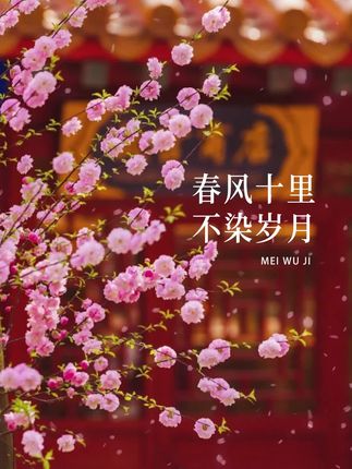 云帆沧海图片 oADQAfJIldaaCXQ2e5teDgHoTPey2oAn2DEYQI~tplv-dy-cropcenter:323:430.jpeg?biz_tag=pcweb_cover&from=3213915784&s=PackSourceEnum_PUBLISH&sc=cover&se=true&sh=323_430&x-expires=1993885200&x-signature=s1iqo623JDvyhWaXDLLtwYkqVeY%3D