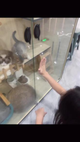 有什么好的app学习创业 oE8QuUBmIDV74VtAgFlAUnfBKQ4YNs8bgApex9~tplv-dy-resize-origshort-autoq-75:330.jpeg?biz_tag=pcweb_cover&from=3213915784&s=PackSourceEnum_AWEME_DETAIL&sc=cover&se=false&x-expires=2012612400&x-signature=Ur2%2FMN%2BoJJMmxV70RNIj%2FlZcWa8%3D