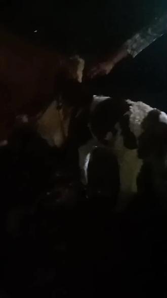 老王评车视频全集 oEzlEjByAguIzQebZh9lNA5AK4AzhfFLRCNJ4A~tplv-dy-resize-origshort-autoq-75:330.jpeg?biz_tag=pcweb_cover&from=3213915784&s=PackSourceEnum_AWEME_DETAIL&sc=cover&se=false&x-expires=2010520800&x-signature=n%2FO37U%2B8nOdUnd9cmqvtD4KnGXE%3D