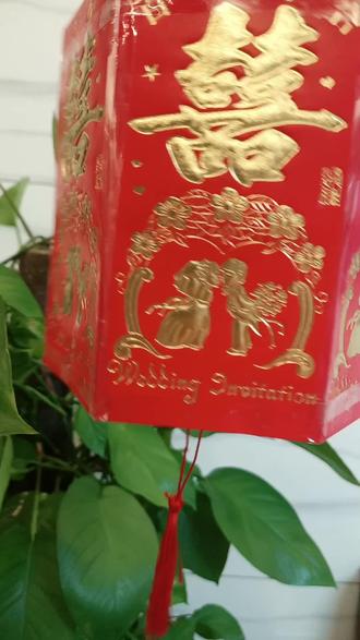 绿灯不走被追尾 oIEDnbPjADHNIk0fyBlgeBrMEU9NAVHx0AQk1b~tplv-dy-resize-origshort-autoq-75:330.jpeg?biz_tag=pcweb_cover&from=3213915784&s=PackSourceEnum_AWEME_DETAIL&sc=cover&se=false&x-expires=2010697200&x-signature=NMjU4OqcsDcFjlp2LZ%2BCeDFmokQ%3D